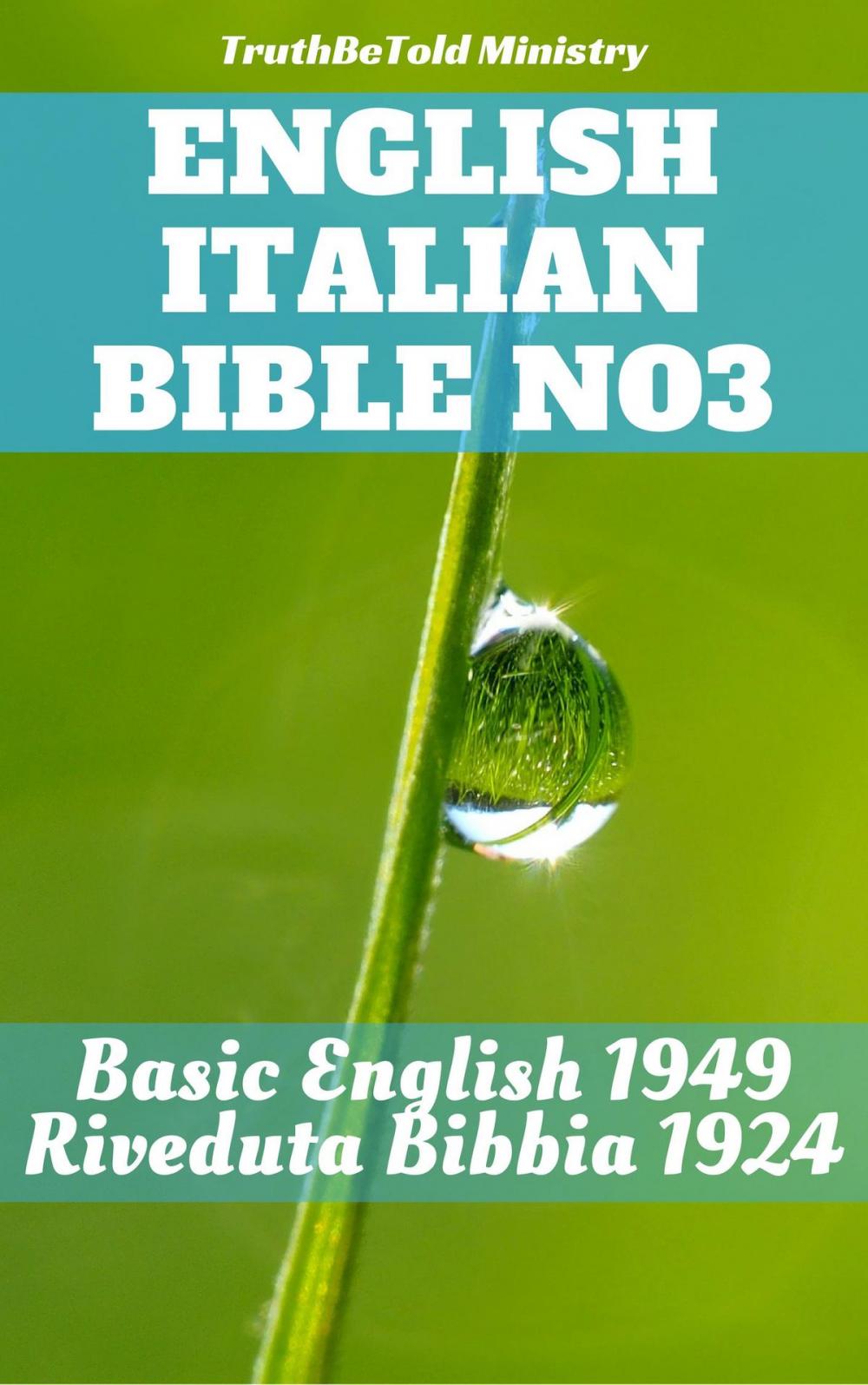 Big bigCover of English Italian Bible No3