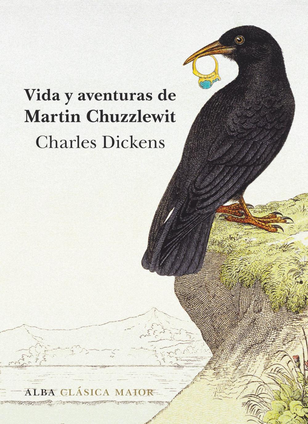 Big bigCover of Vida y aventuras de Martin Chuzzlewit