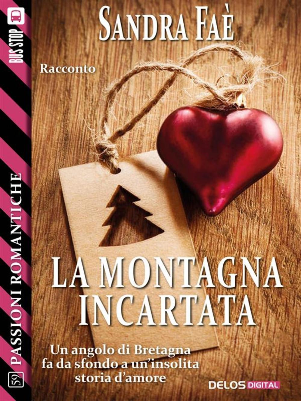 Big bigCover of La montagna incartata