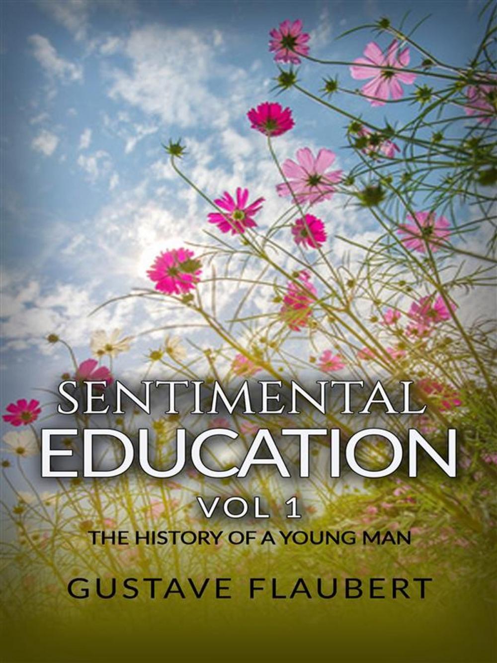 Big bigCover of Sentimental Education, or The History of a young man Vol 1