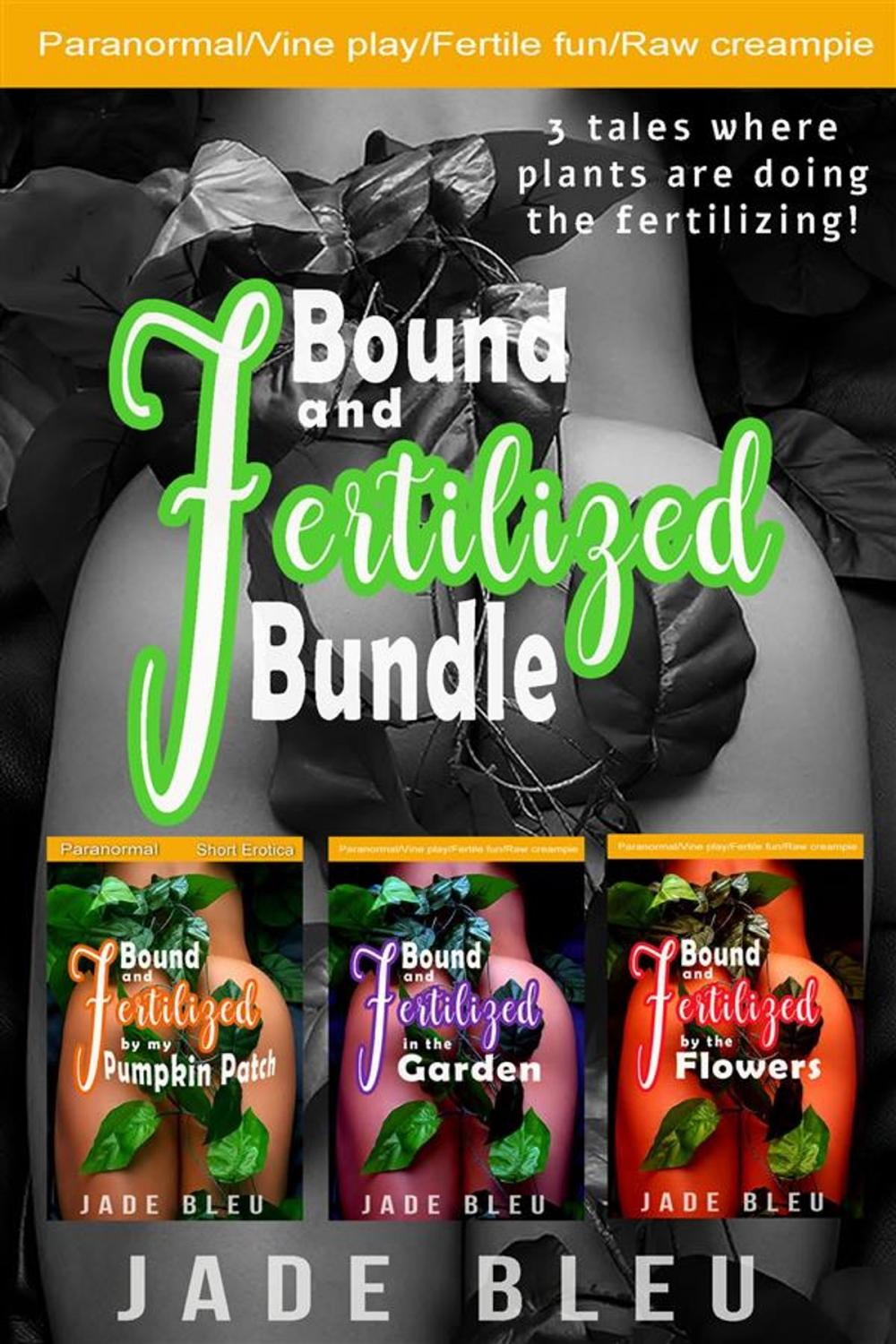 Big bigCover of Bound and Fertilized Bundle