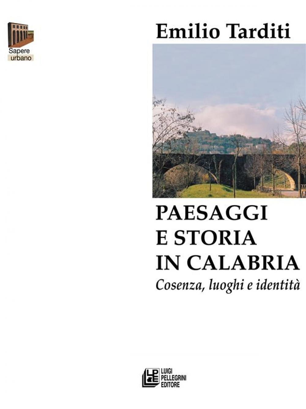 Big bigCover of Paesaggi e storia in Calabria. Cosenza, luoghi e identità