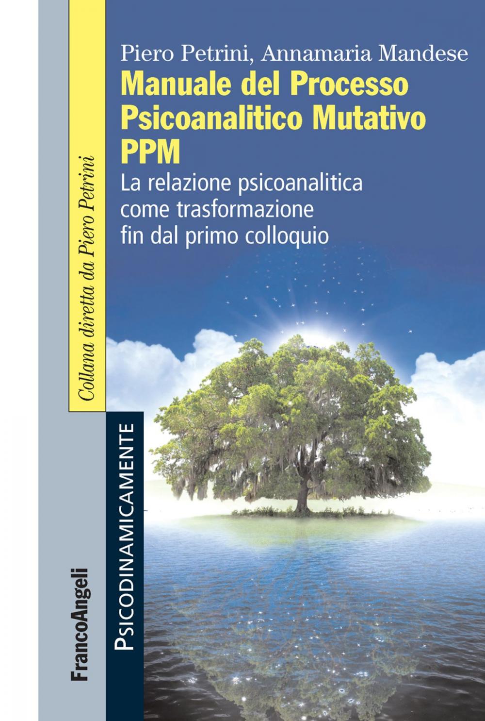 Big bigCover of Manuale del Processo Psicoanalitico Mutativo PPM