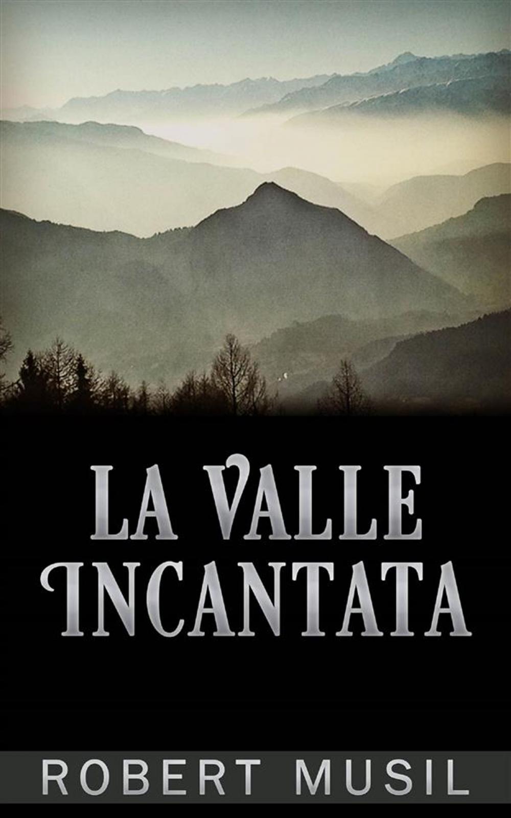 Big bigCover of La Valle Incantata