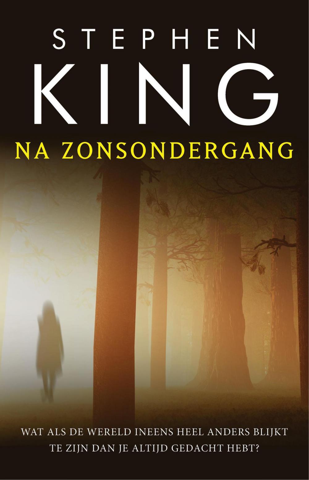 Big bigCover of Na zonsondergang