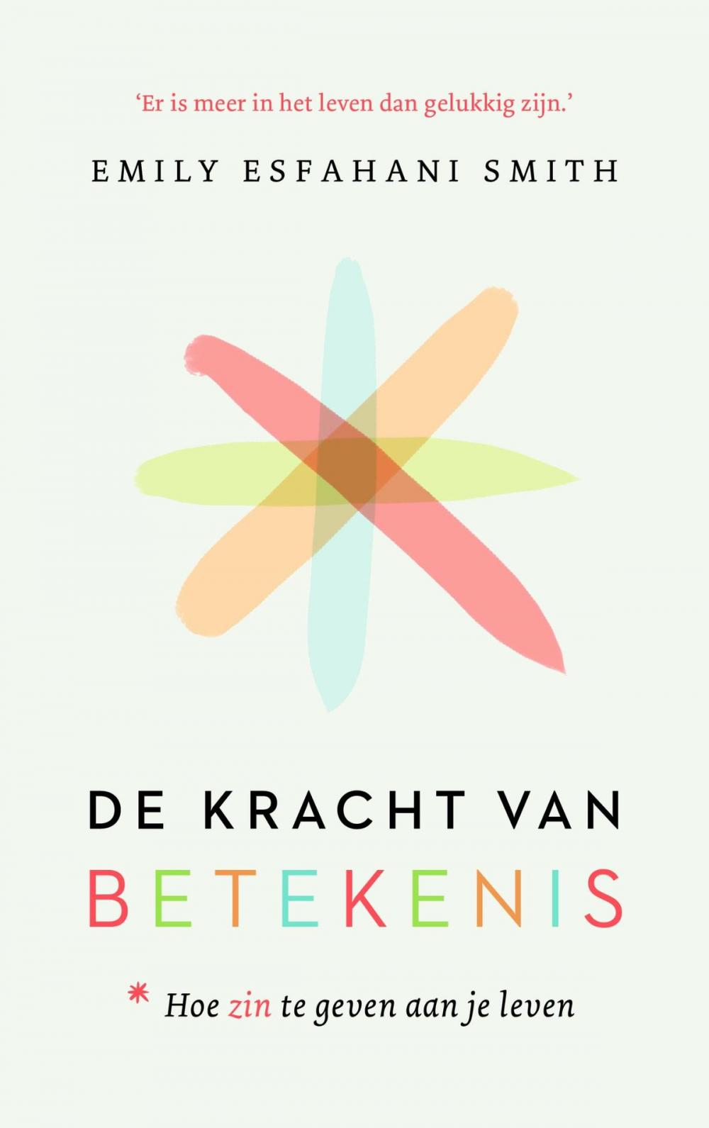 Big bigCover of De kracht van betekenis