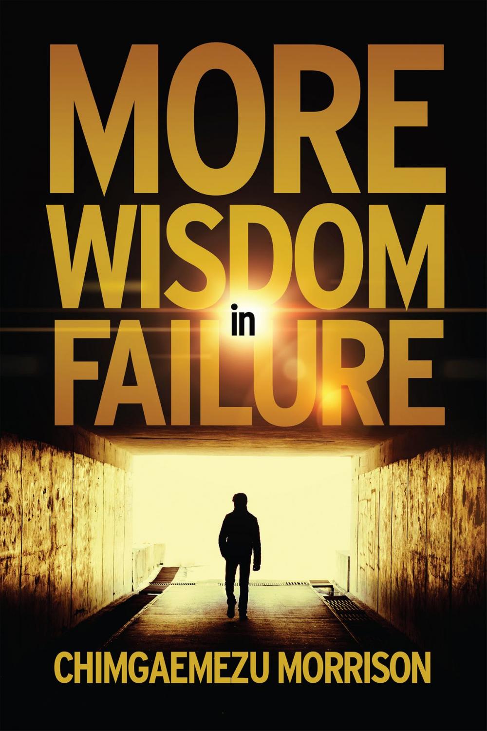 Big bigCover of More Wisdom in Failure