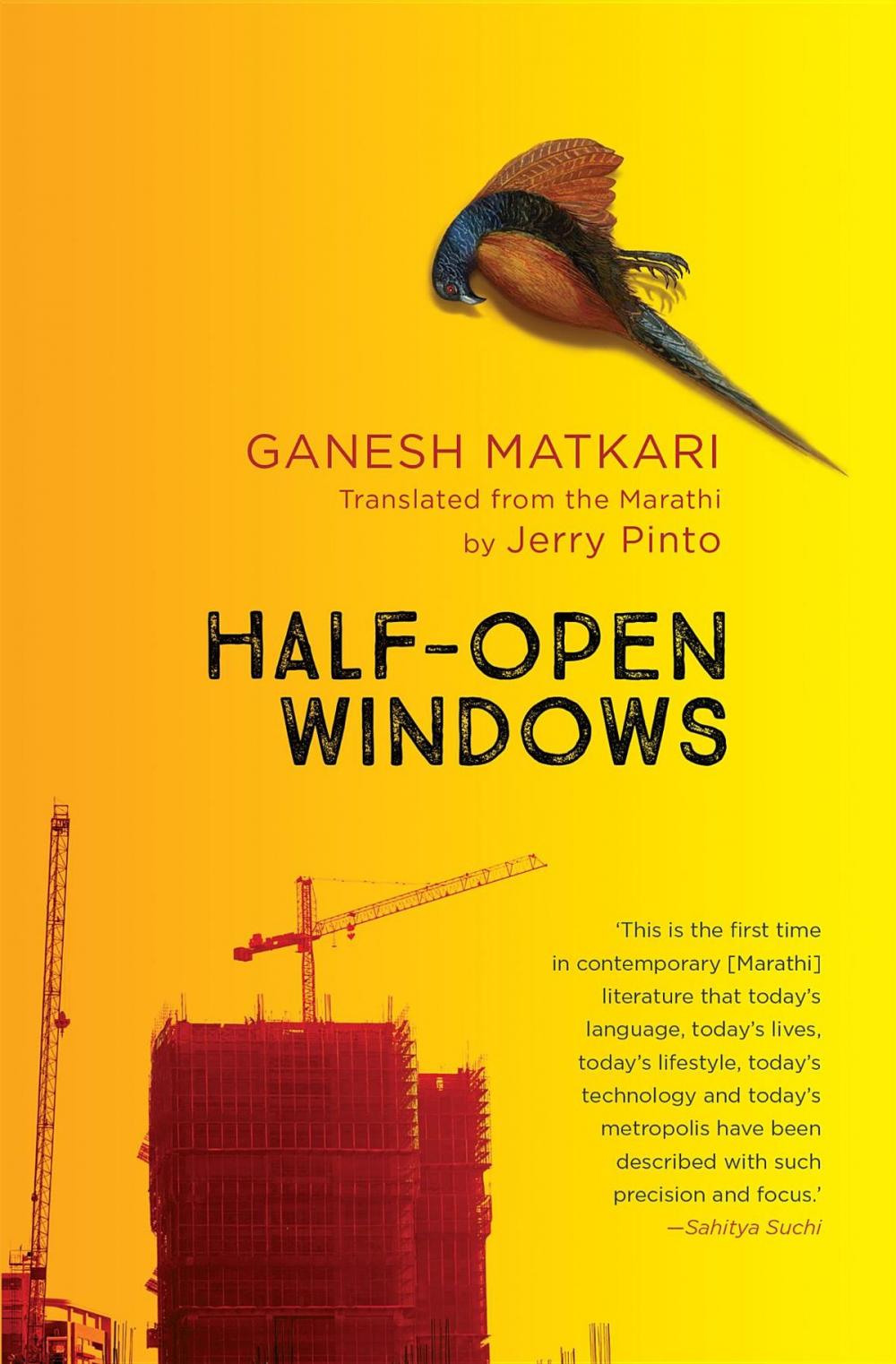 Big bigCover of Half-Open Windows