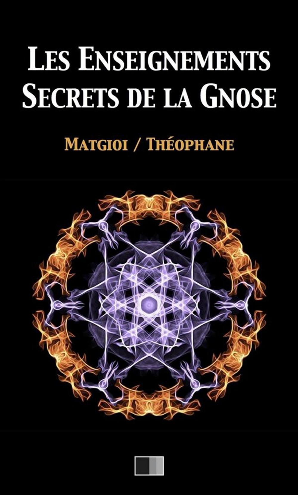 Big bigCover of Les enseignements secrets de la Gnose