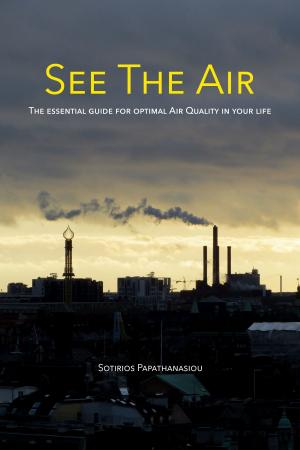 Cover of See The Air