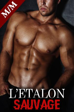 Cover of the book L'Etalon Sauvage Vol. 3 by Liz Kelly