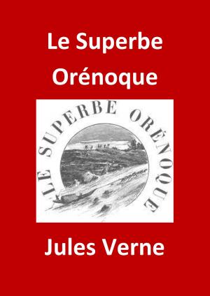 Cover of the book Le Superbe Orénoque by Remy de Gourmont
