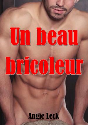 Cover of the book Un beau bricoleur by James Snow