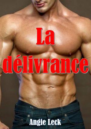Cover of the book La délivrance by Sarina Wilde