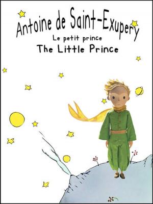 bigCover of the book Le petit prince by 