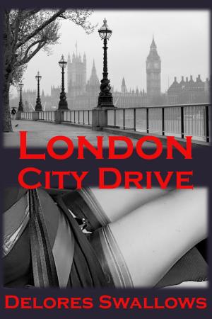 Cover of the book London City Drive by Delilah Fawkes