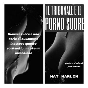 Book cover of Il tribunale e le porno suore (porn stories)