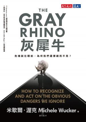 Book cover of 灰犀牛