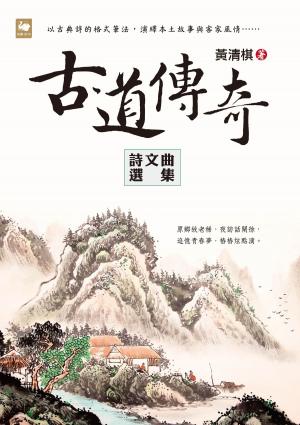 Cover of the book 古道傳奇 by Ali Özgür Özkarcı