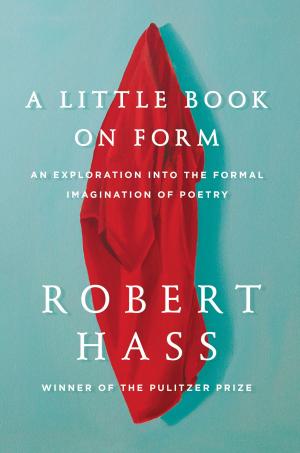Cover of the book A Little Book on Form by Roger Rosenblatt