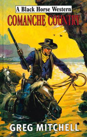 Cover of the book Comanche Country by Frank Ellis Evans
