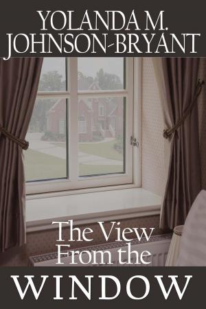 Book cover of The View From the Window