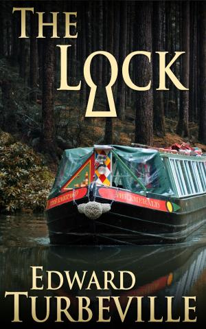 Cover of the book The Lock by Ellery Queen