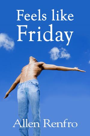 Cover of the book Feels like Friday by Sandra Anderson