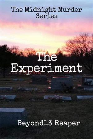 Cover of the book The Midnight Murder Series: The Experiment by Rachel E. Hunt