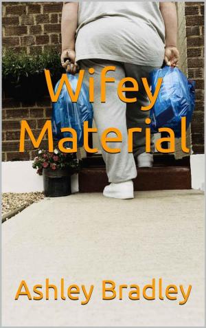 Cover of the book Wifey Material by Shaun Allan