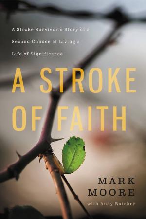 Cover of A Stroke of Faith