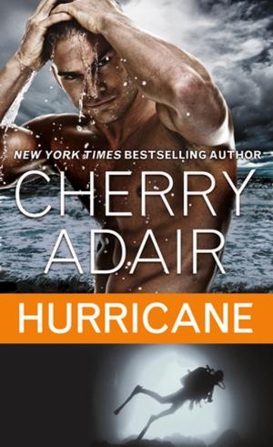 Cover of the book Hurricane by Michele Andrea Bowen