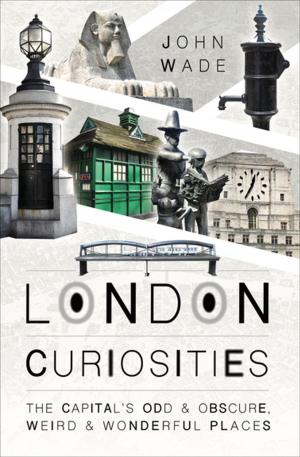 Cover of the book London Curiosities by Tim Heath