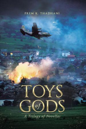 Cover of the book Toys of Gods by Aneesh Verma