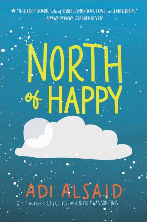 Cover of the book North of Happy by Sara Orwig