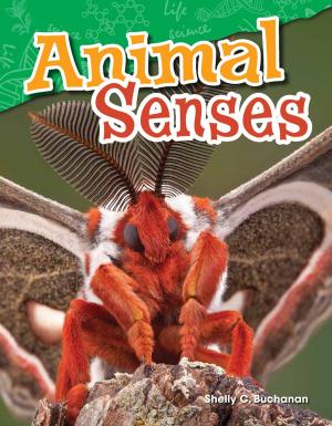 Cover of the book Animal Senses by Sharon Coan