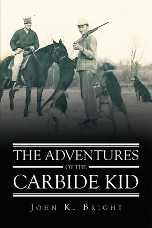 Book cover of The Adventures of the Carbide Kid