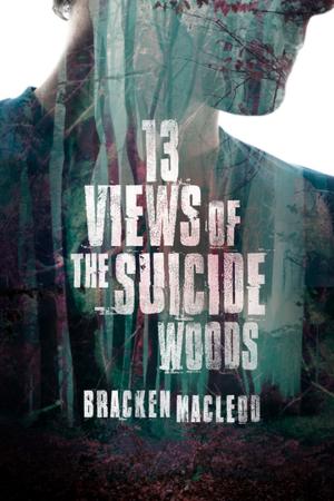 Cover of the book 13 Views of the Suicide Woods by Stephen Michell
