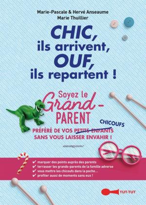 Book cover of Chic, ils arrivent, Ouf, ils repartent !