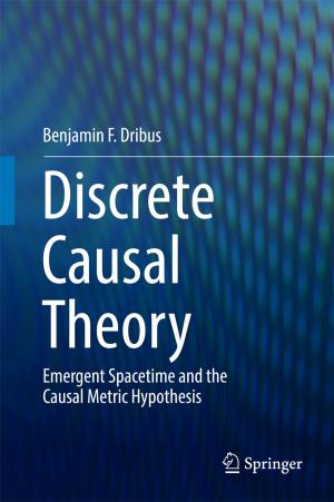Cover of the book Discrete Causal Theory by Wahideh Achbari