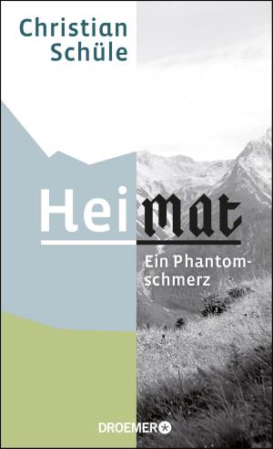 Cover of the book Heimat by Peter Bofinger