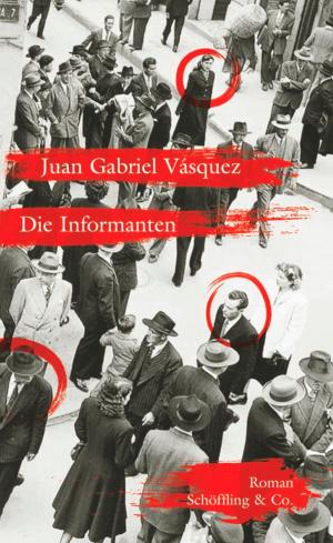 Cover of the book Die Informanten by Grace Paley, Christian Brandl