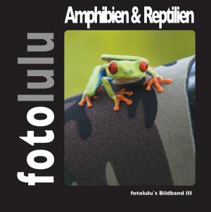 Cover of the book Amphibien & Reptilien by Terence Beal