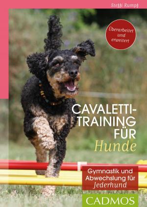 Cover of the book Cavalettitraining für Hunde by Marion N. Fiedler