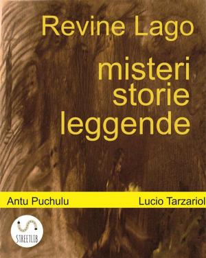 Cover of Revine Lago, misteri, storie e leggende