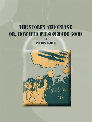 Cover of the book The Stolen Aeroplane by Leroy B. Vaughn