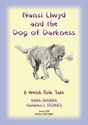 Cover of the book NANSI LLWYD AND THE DOG OF DARKNESS - A Welsh Children’s Tale by Yunnuen Gonzalez