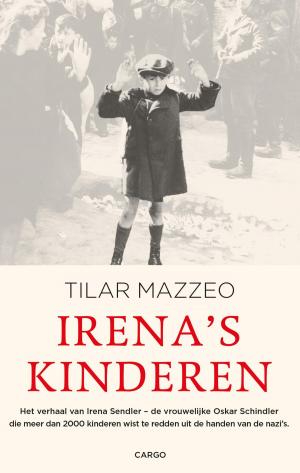 Cover of the book Irena's kinderen by Hjorth Rosenfeldt