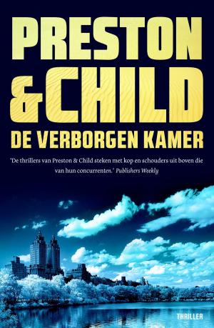 Cover of the book De verborgen kamer by James Rollins