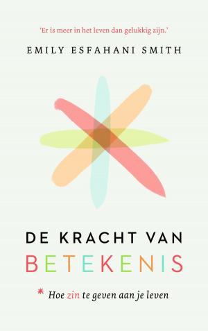 Cover of the book De kracht van betekenis by B. Broekman